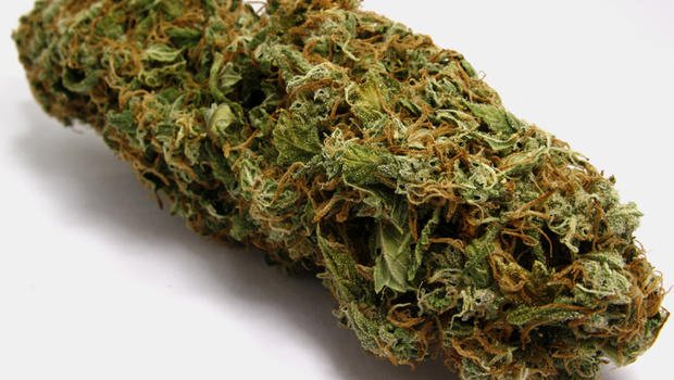 Marijuana Is Good For Your Health, Defined In 15 Facts