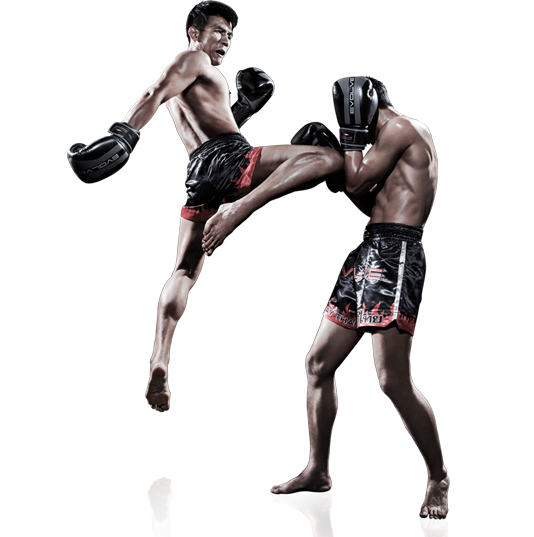 Why Muay Thai Course In Thailand Are Getting So Popular?