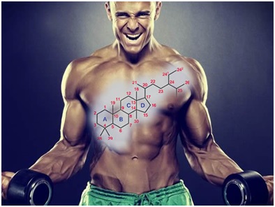 Get Best Suitable Steroid To Enhance Your Body Power and Stamina